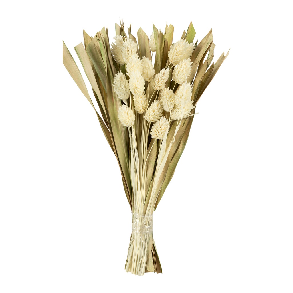BOUQUET ALPISTE SECHE BLC H25
