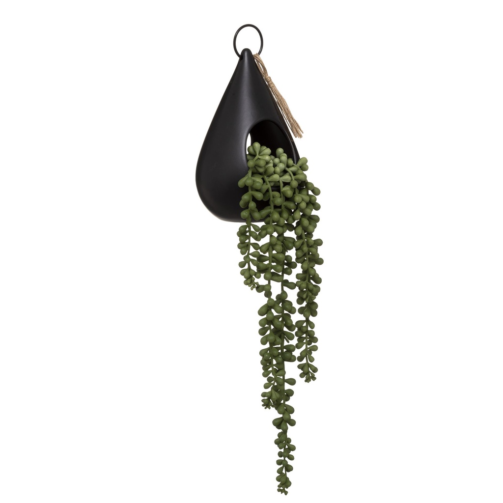 PLANTE A SUSPENDRE EN AV POT CERAMIQUE 12X50CM NOIR