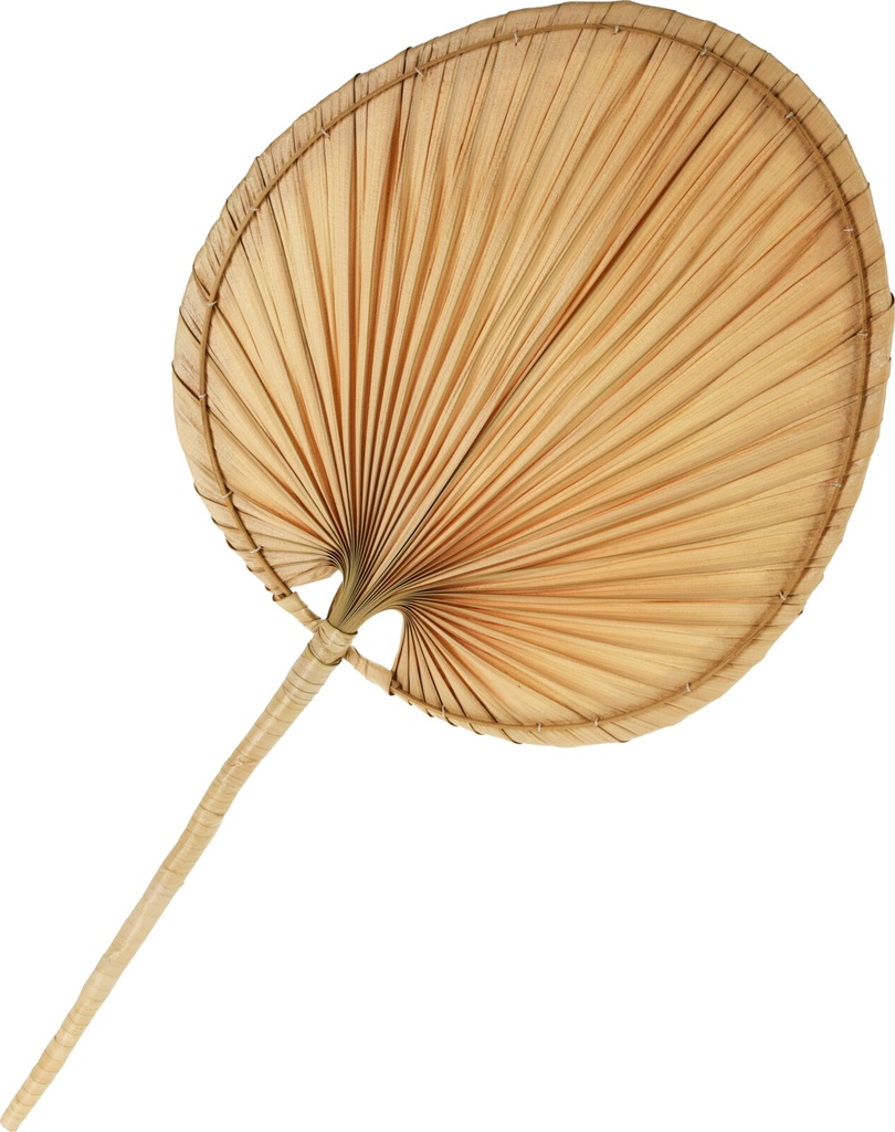 EVENTAIL DECORATIF PALMIER 40X82CM