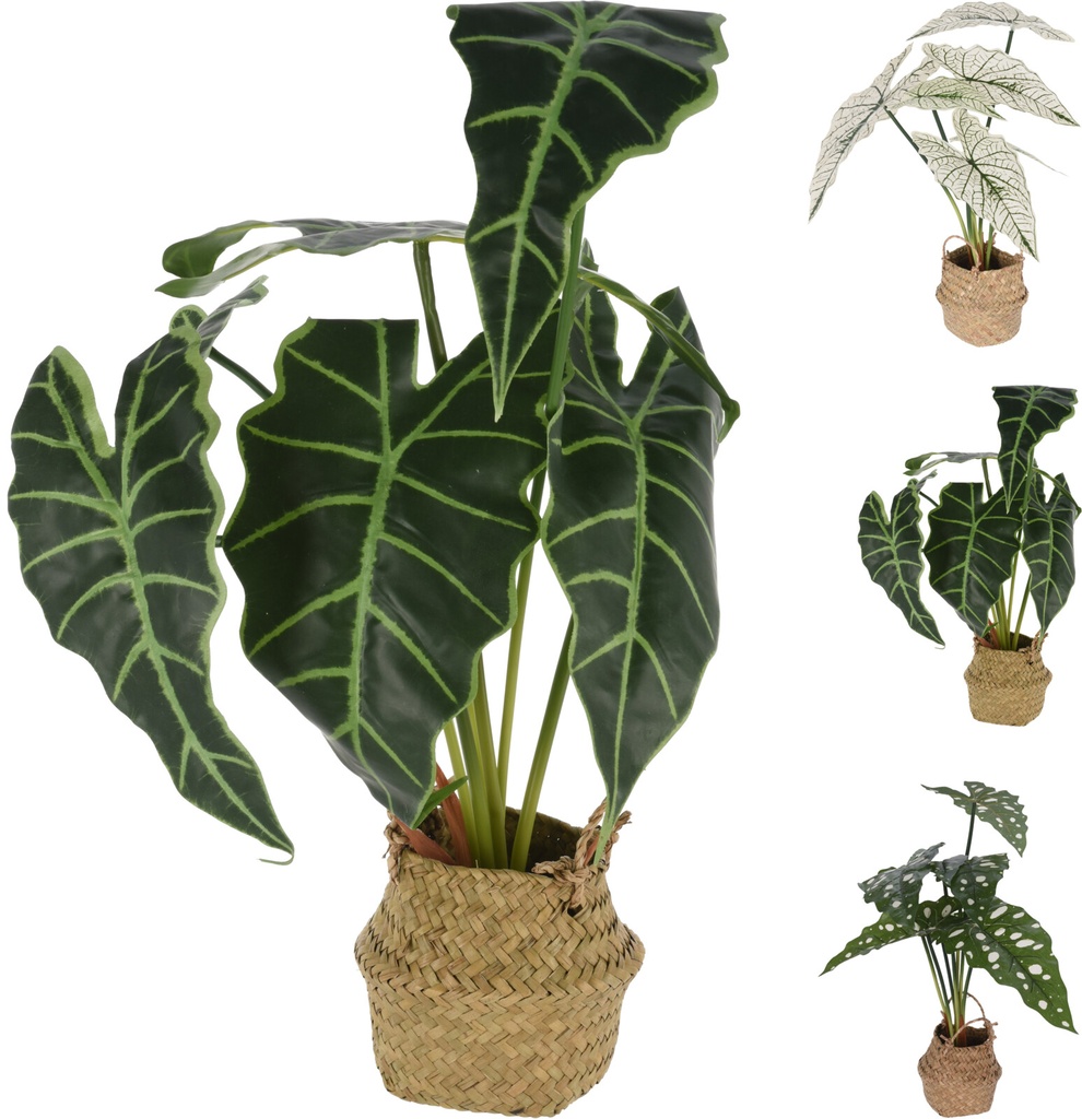 PLANTE ARTIFICIELLE ALOCASIA DANS PANIER 30X30X51CM