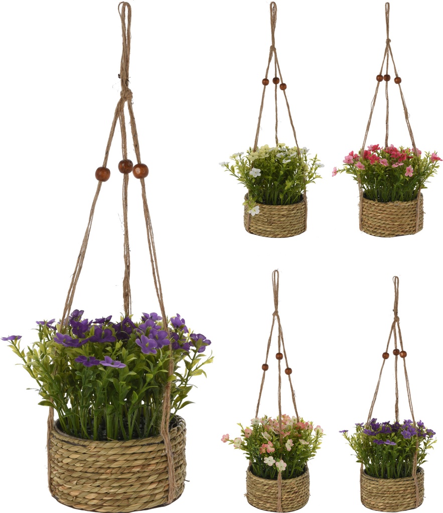 PLANTE A SUSPENDRE DANS PANIER 18X18X15CM 4 ASSORTI CLRS