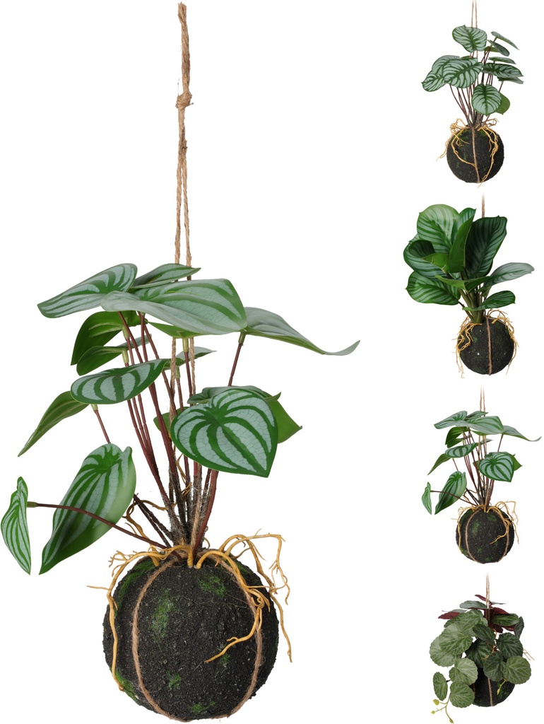 PLANTES SUSPENDUES DANS POT 30CM 4 ASSORTI