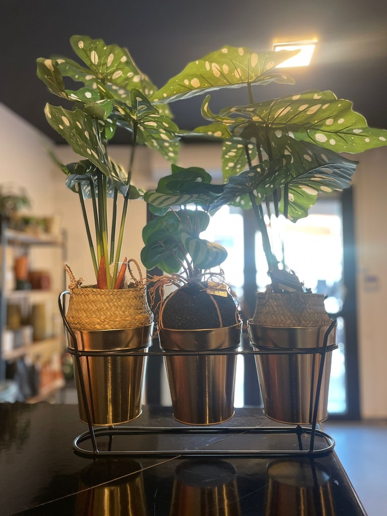 POT A FLEURS METAL SET 3 PCES SUPPORT METAL NOIR/DOREE