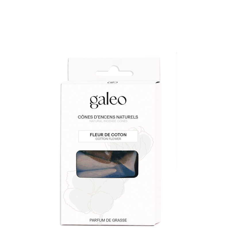 POCHETTE 10 CONES ENCENS FLEUR COTON