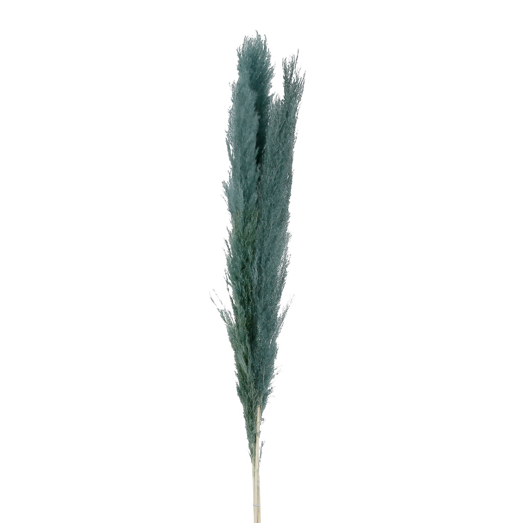 Fleur Pampas x3 Emeraude H160