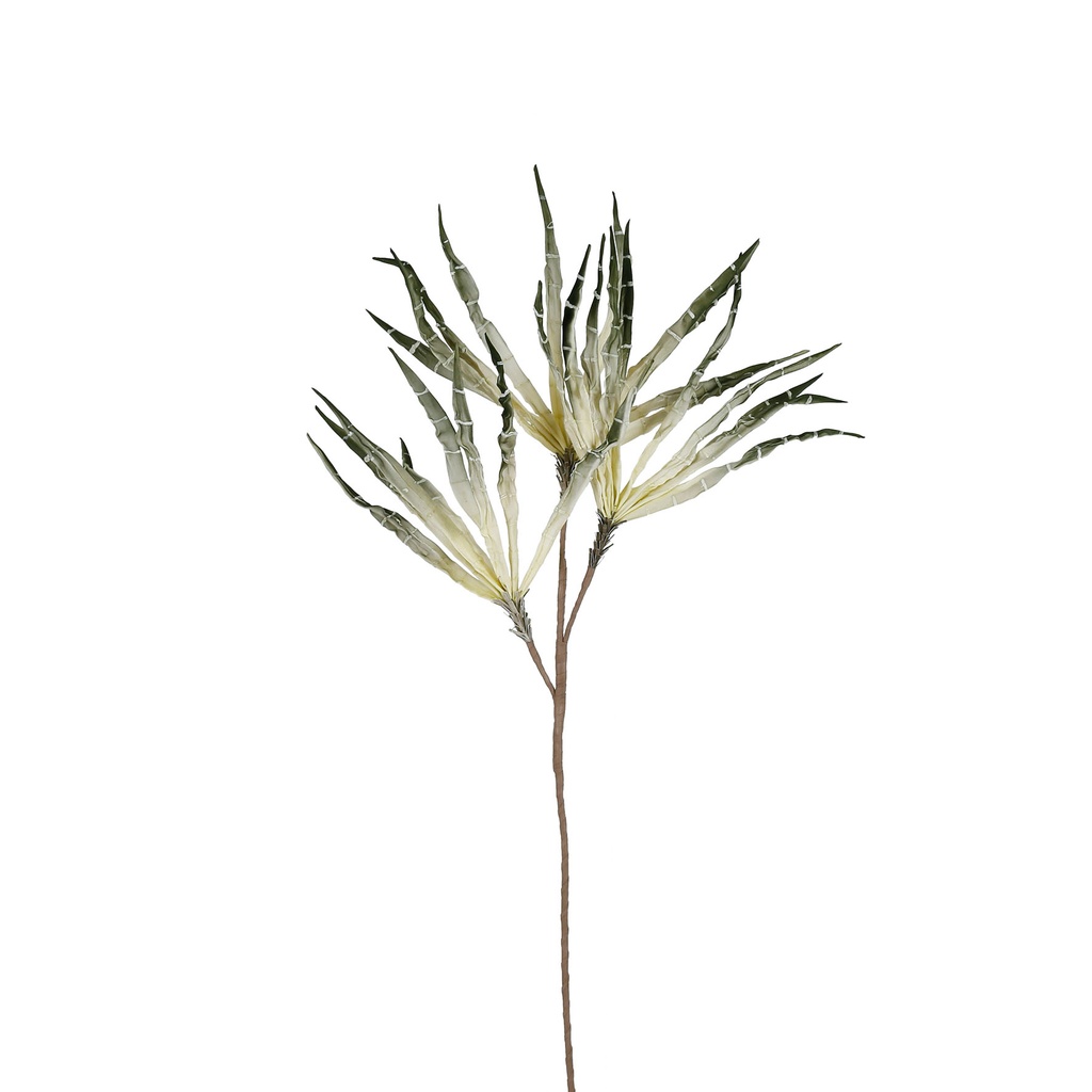 FLEUR RAINE VERT H103 PE+FER