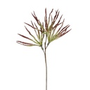 FLEUR RAINE GRENAT H103 PE+FER