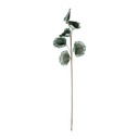 FLEUR NUPHEA VERT D'EAU H100CM