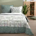 PARRURE DE LIT MORPHEA VERT HC 240X220+2T63X63
100%COTON 