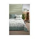 PARURE HOUSSE DE COUETTE MORPHEA VERT 260X240